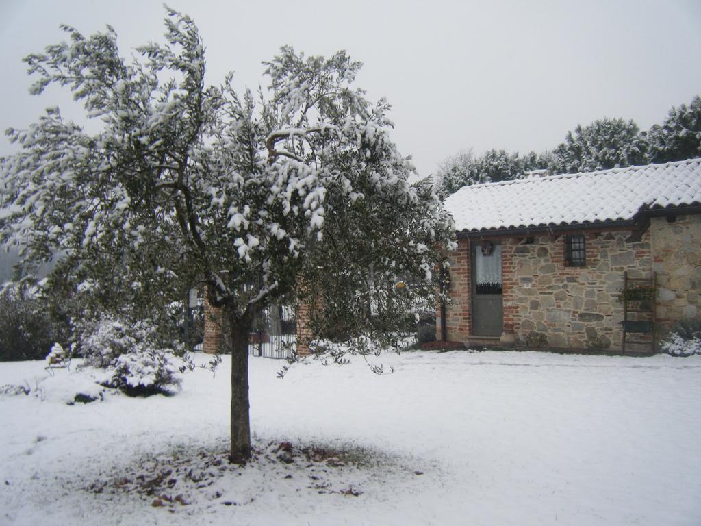 B&B Il Salice Veruno Exteriér fotografie